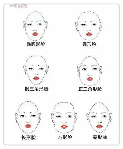 而脸型分为七种
