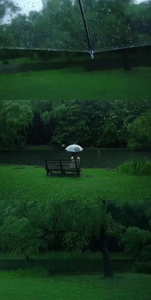 裘一张纯绿色护眼背景图