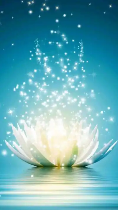 荷花 莲花 佛禅 观世音菩萨