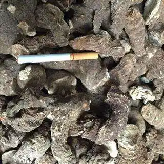 草河车怎么选_草河车又叫什么