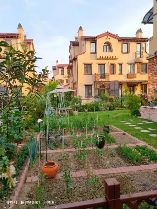 781578157815#别墅庭院  #退休生活  #院子  #我的小菜园