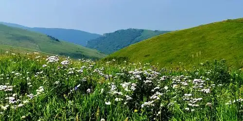 高山草原圣水梁