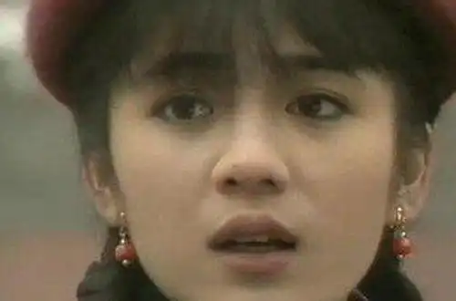 前妻曾哲贞曾哲贞是汤臣影业签约小旦,出演过琼瑶剧《哑妻》《婉君》