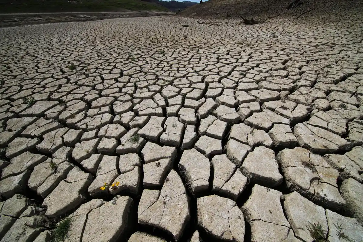 (国际·一周看天下)干旱