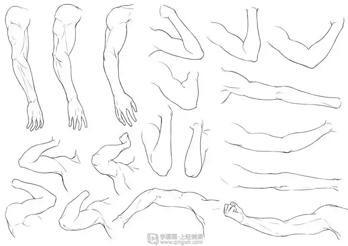作业:日系厚涂之手臂肌肉及连接关系 - 熠万 - 轻微课