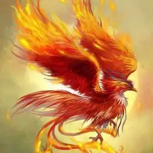 金凤凰头像