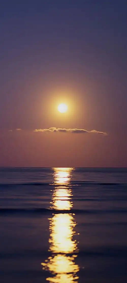 1080_2400竖版 竖屏