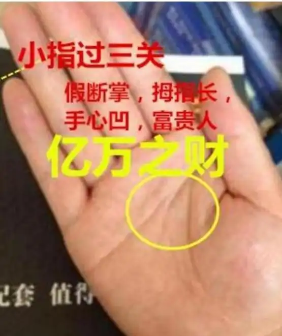 横财纹在手的人,命中注定天降横财,财源滚滚,羡慕吗?