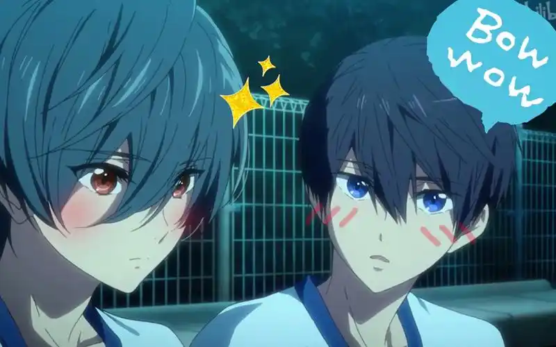 正确的bgm插入方式,对不起真琴了【遥&郁弥】_哔哩哔哩 (゜-゜)つロ