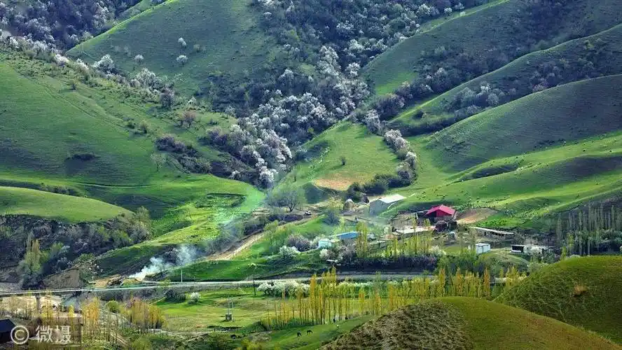新疆伊犁大西沟静观花开花落漫赏云卷云舒