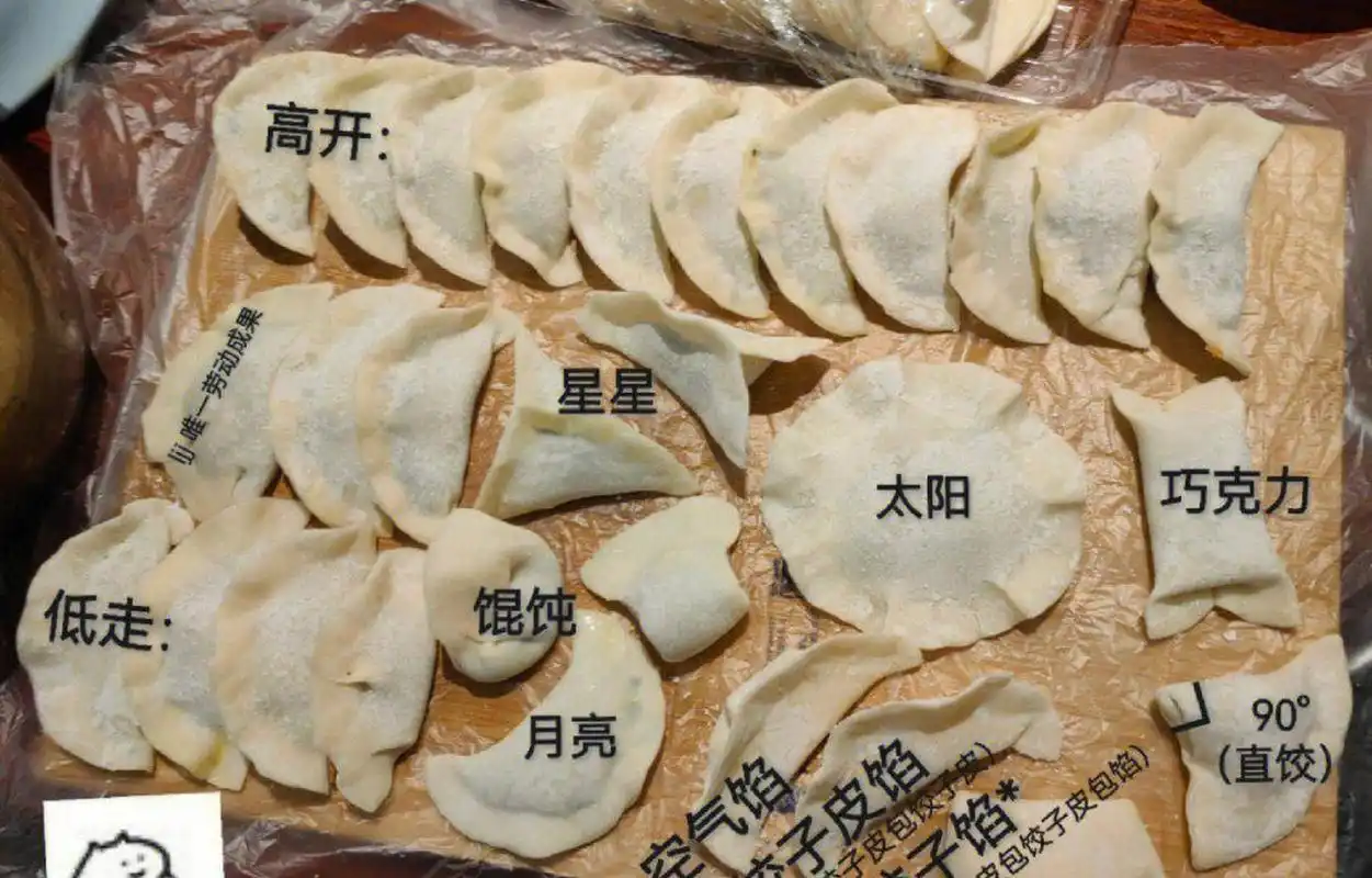 网友:一些00后包饺子的现状. #趣图搞笑