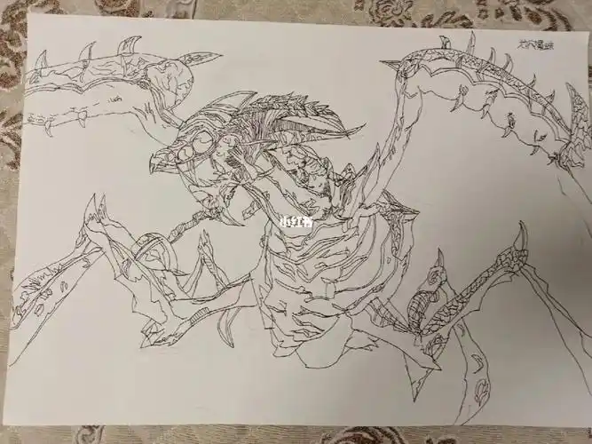 地穴魔蛛终于画好了