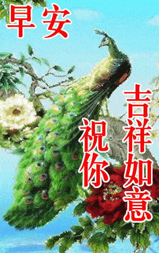 10月30日最漂亮早上好动态表情图片大全早晨好动图美图大全