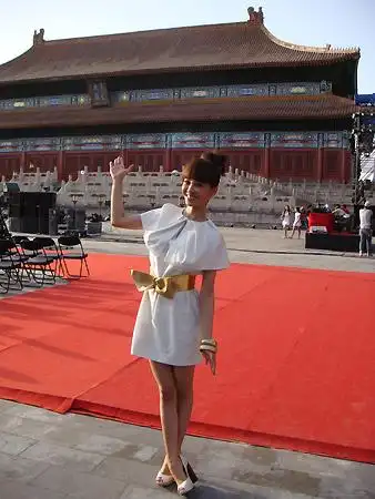 在看的王珞丹博客