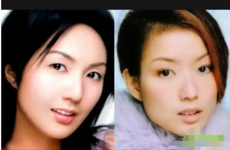 郑秀文现在过得怎么样 郑秀文和杨千嬅长的很像对比图