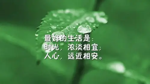 微信早安励志激励语自我激励的励志句子