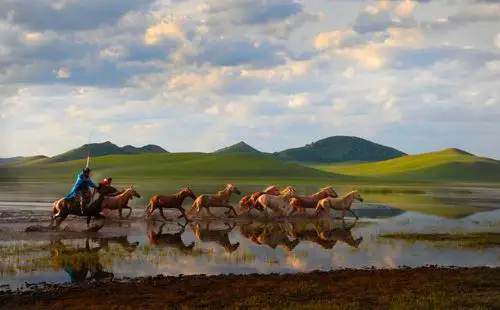 坝上草原马牛羊