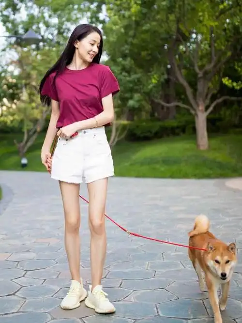 大家是因为什么认识张豆豆的?返回搜狐,查看更多