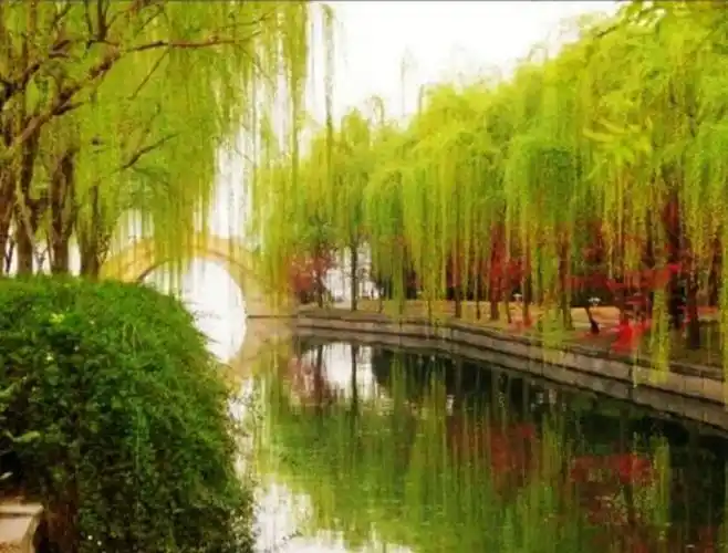 柳浪闻莺(西湖十景5)