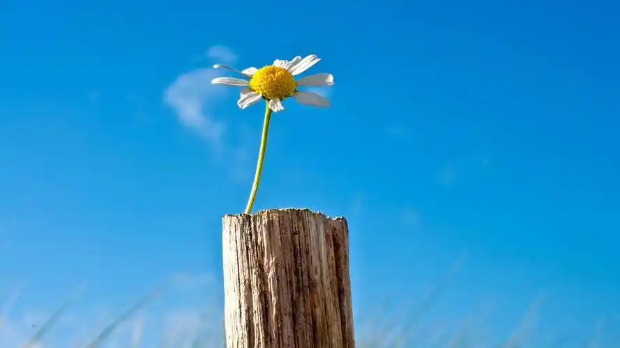 纯净的蓝色风景美图高清电脑桌面壁纸