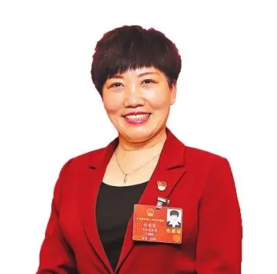 刘香莲全国人大代表,西平县宋集镇宋集村党支部书记