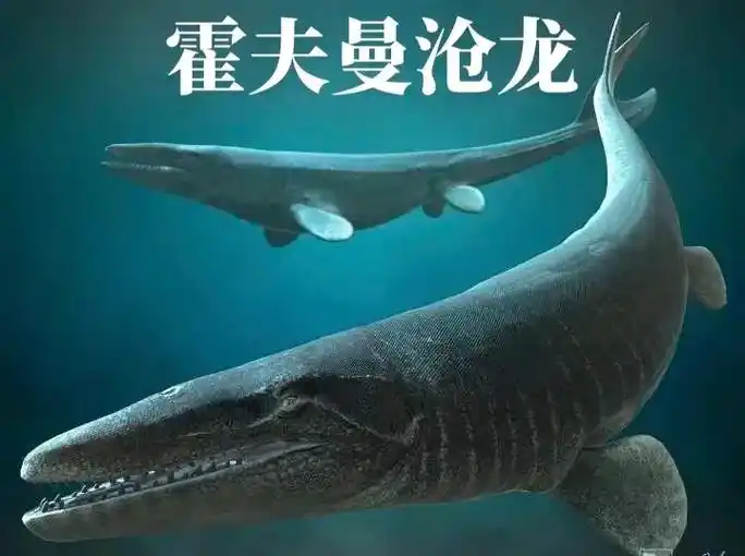 霍夫曼沧龙.作为沧龙属下,最大的一种,其极限体长估计有15m - 抖音