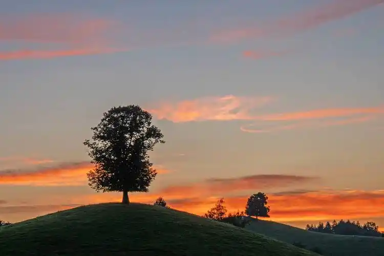 无水印神仙壁纸收藏【ipad,macbook通用】 - 知乎