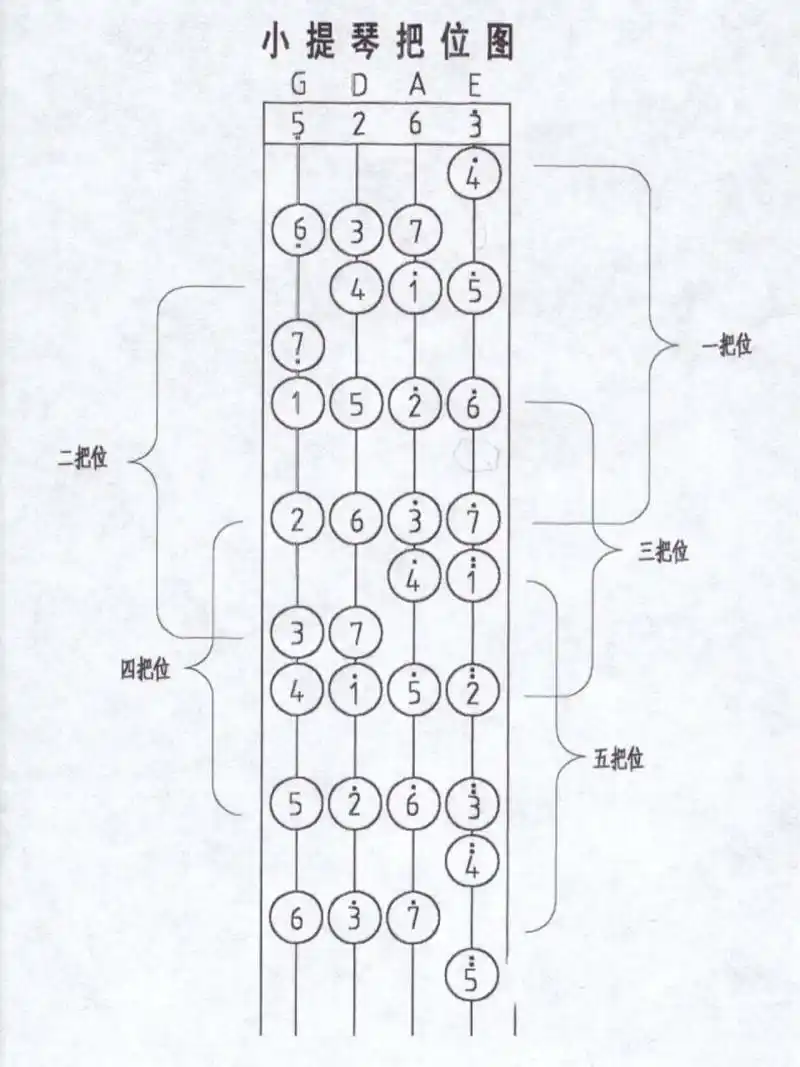 小提琴最全低把位音图 弟弟本周进入换把学习,老师用"示范:一到三把位