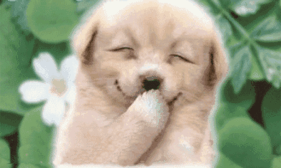 394_236gif 动态图 动图