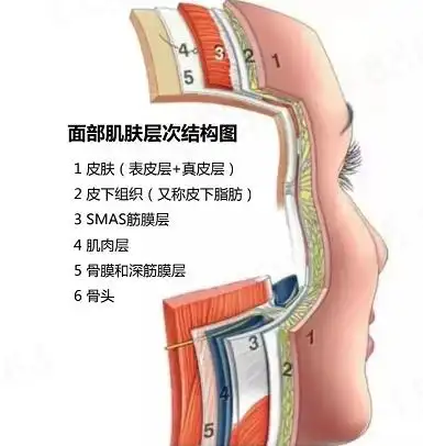 很多人可能会有这样的疑问:明明用了zui新款的面部美容仪,贵妇面霜也