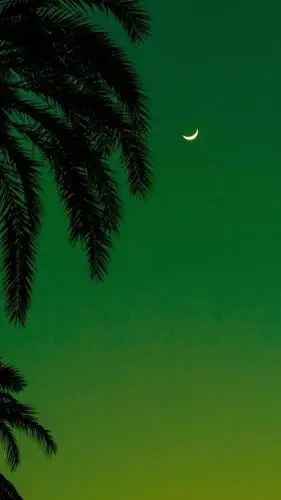 高清手机壁纸屏保