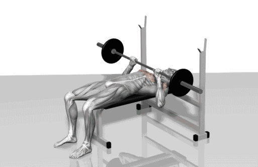 28个健身训练干货|世界冠军也逃离不了的健身动作