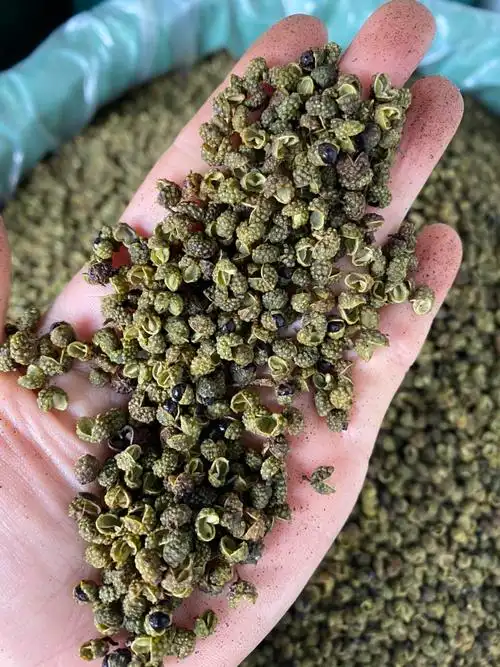 正宗大凉山金阳青花椒,原产地