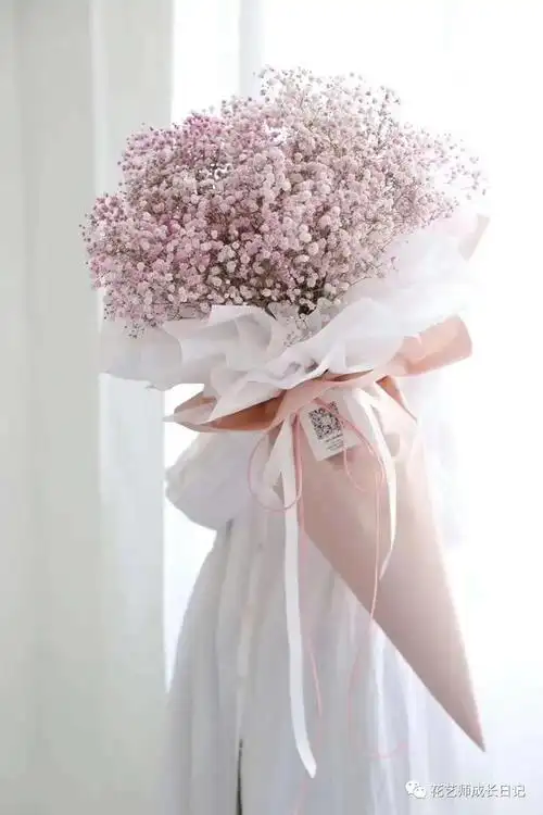 满天星花束图片(满天星花束图片唯美)_植物知识网