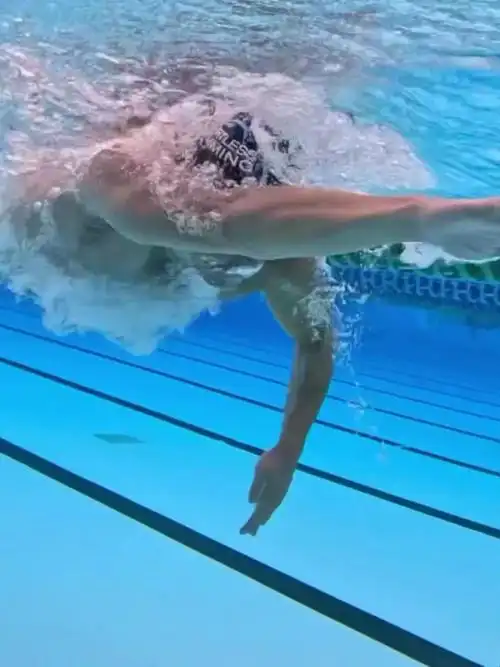 自由泳快速游水下视角