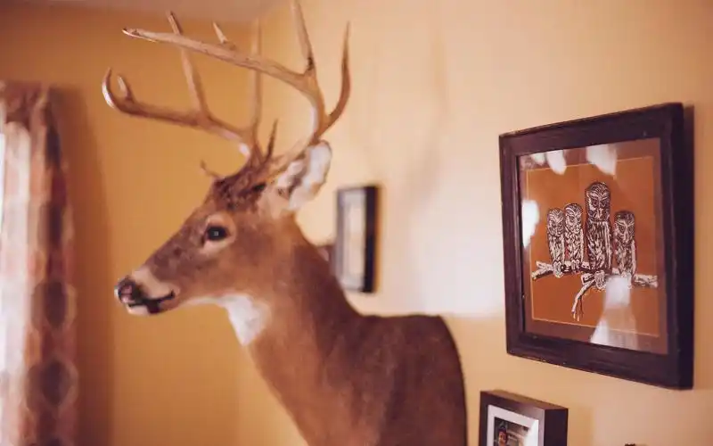 旧时光,文艺,lomo,旧时光的念想,鹿头,壁画,轻诉离殇,静物复古壁纸