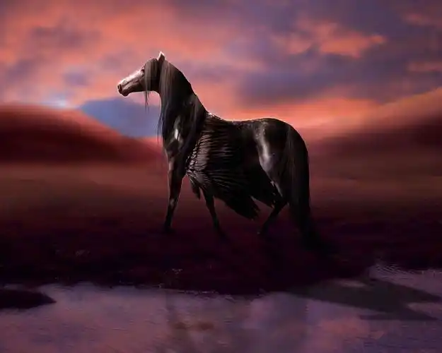 渲染马,翅膀,飞马,水,云 壁纸 - 1280x1024