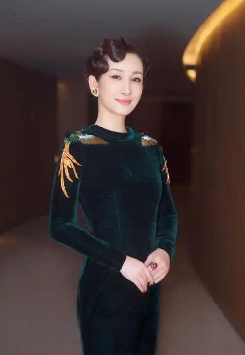 秦海璐穿出秦小姐的韵味网友这条旗袍不一般