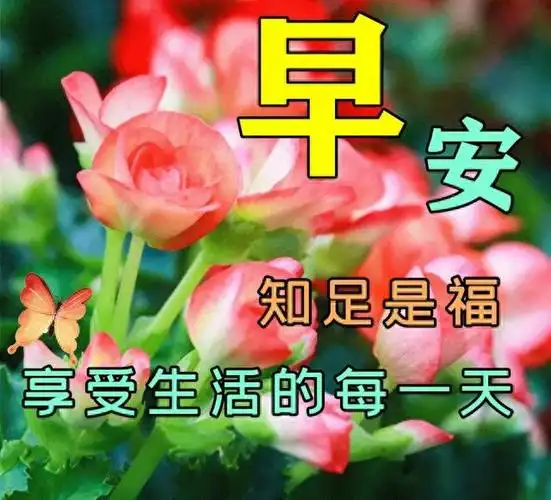 2023922早安快乐周五早上好祝福语清晨早安问候图片