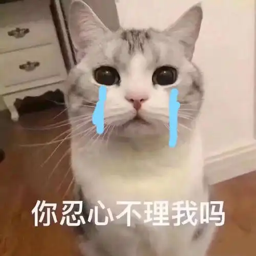 聊天必备表情包