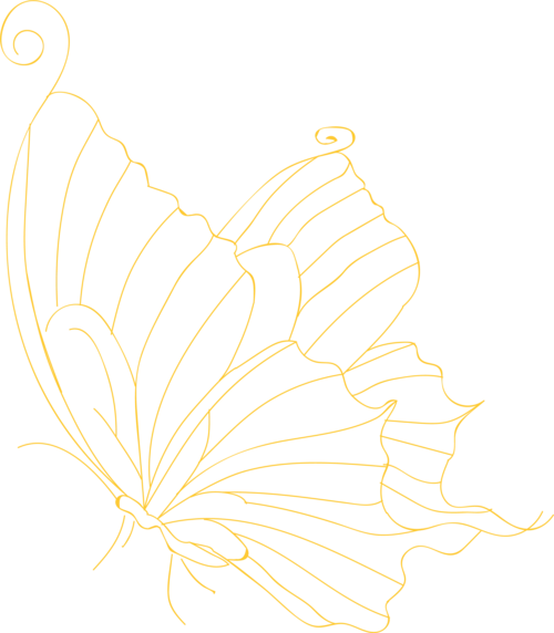 蝴蝶素材图片大全_蝴蝶素材图片素材【png免费下载】-90设计网