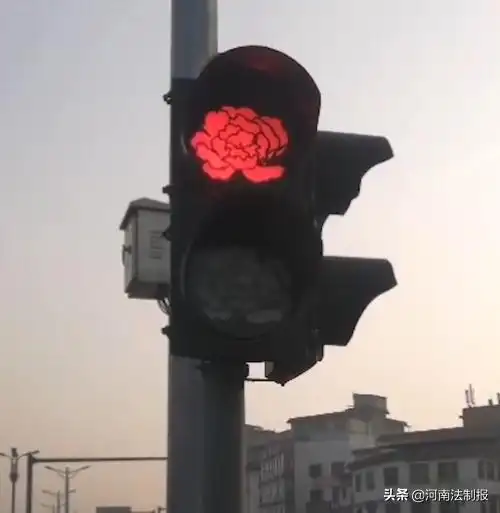 洛阳部分红绿灯变成牡丹形状网友能让等红绿灯不急躁