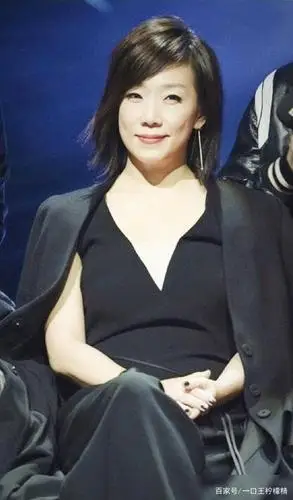 林忆莲:听说爱情回来过