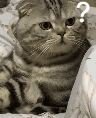 337_411gif 动态图 动图