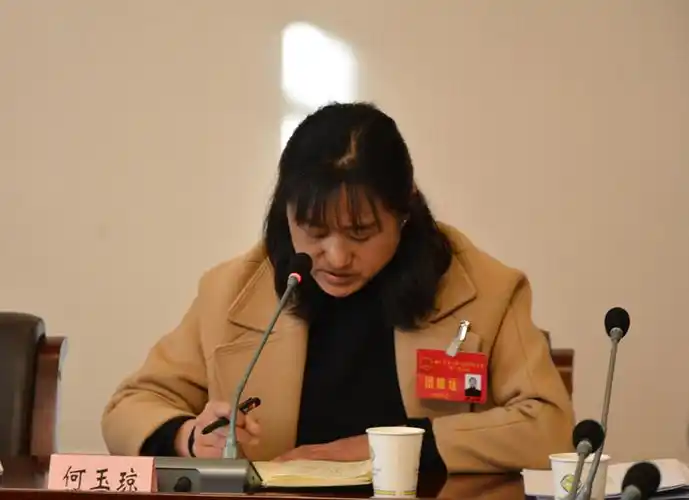 踊跃发言各抒己见代表团分组会议上他们提出