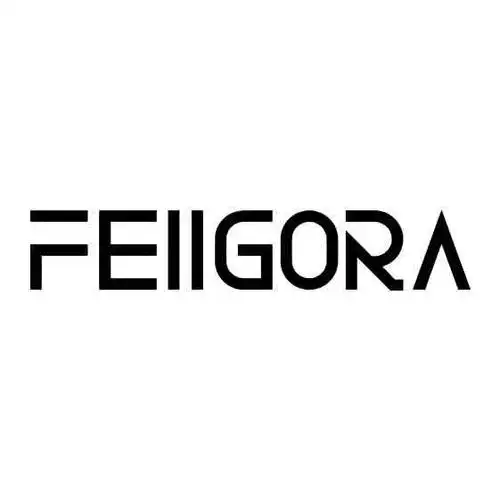 feiigora 商标公告