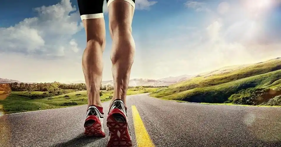 人类拥有直立行走的能力