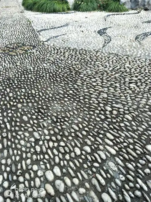 颐亭门前的鹅卵石花式铺地.