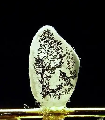 (1/2)6月7日,在陈逢显毫芒雕刻馆拍摄的在大米粒上创作的花鸟书画作品
