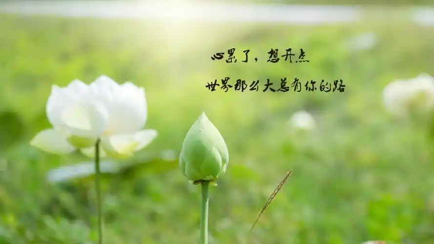 朋友圈心累伤感的说说图片